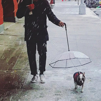 Transparent dog umbrella with stainless steel chain attached to harness for rainy walks
