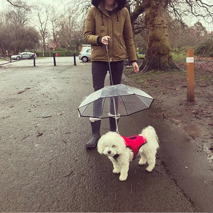 Transparent dog umbrella with stainless steel chain attached to harness for rainy walks