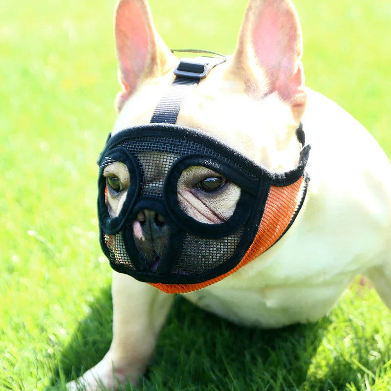 Breathable dog muzzle for small to medium-sized breeds like French Bulldogs, available in various colors and sizes