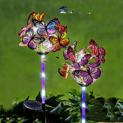 Solar-powered LED butterfly garden lights in black and transparent colors, creating a magical outdoor lighting display