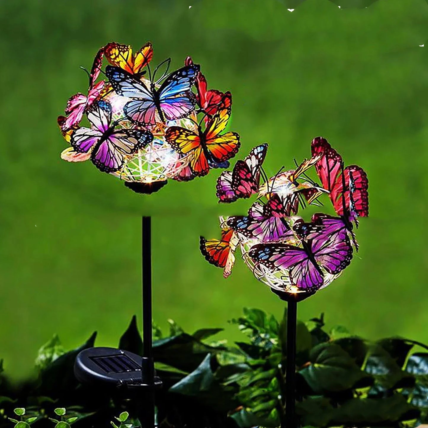 Solar-powered LED butterfly garden lights in black and transparent colors, creating a magical outdoor lighting display