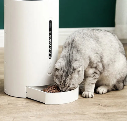 White smart pet feeder with timer display and 4.6L food hopper for cats and dogs