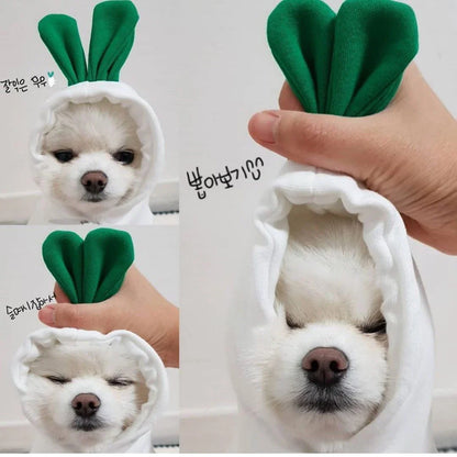 Cozy and stylish fruit-themed dog hoodies in a variety of adorable designs for small breed pets