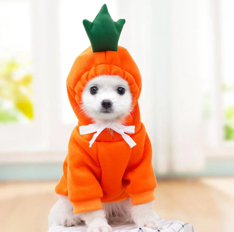 Cozy and stylish fruit-themed dog hoodies in a variety of adorable designs for small breed pets