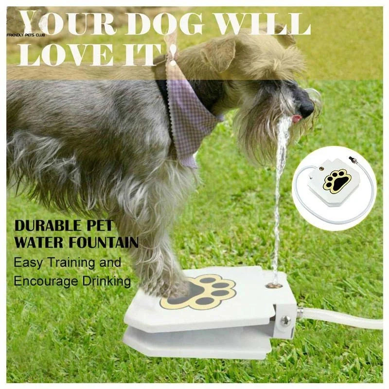 Stainless steel pet water dispenser with paw-activated mechanism