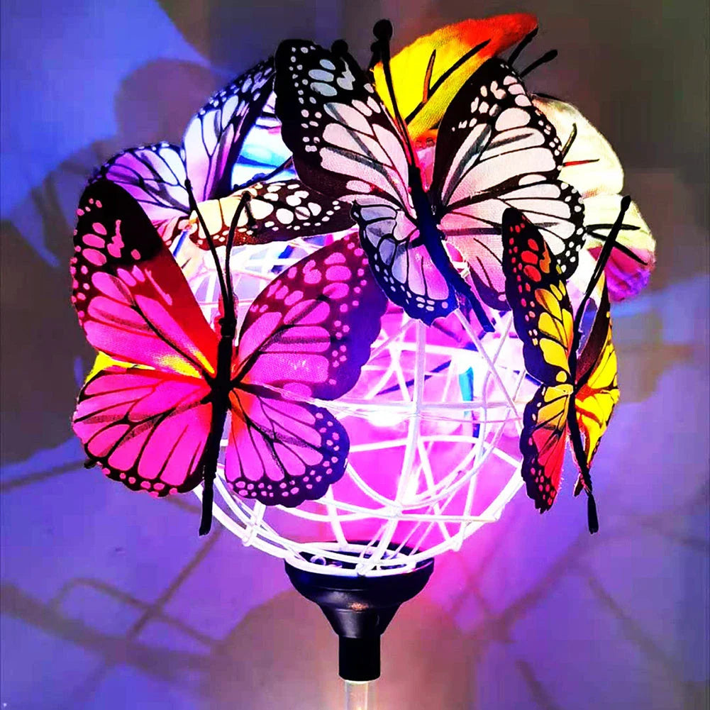 Solar-powered LED butterfly garden lights in black and transparent colors, creating a magical outdoor lighting display