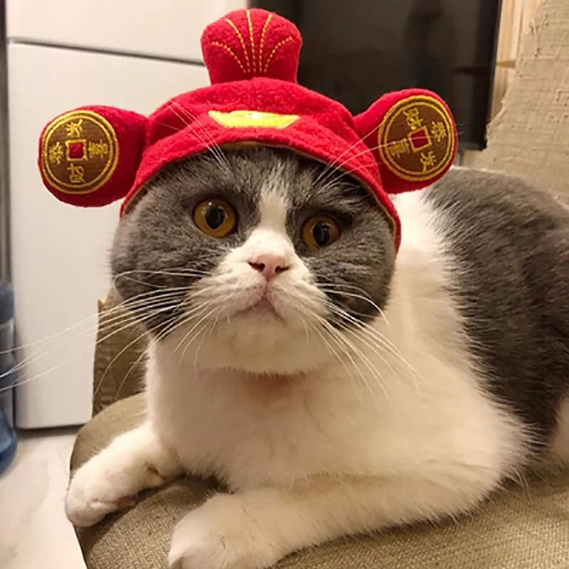 Cartoon-themed pet hat for cats with unique embroidery detailing