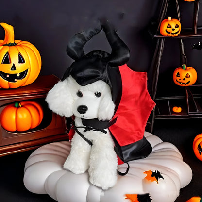 Small dog wearing a red bat devil cloak and pointed hat Halloween costume.