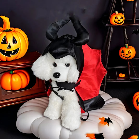 Small dog wearing a red bat devil cloak and pointed hat Halloween costume.