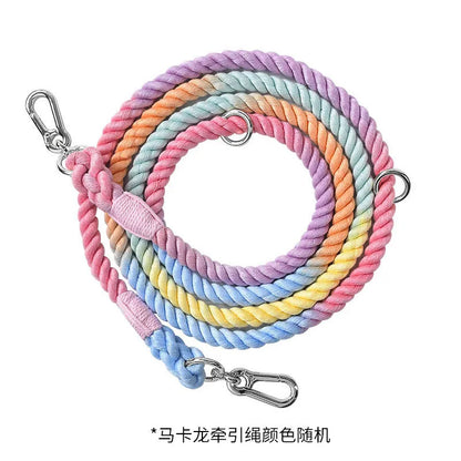 Woven rainbow pattern dog leash with double grip handles and a metal clasp.