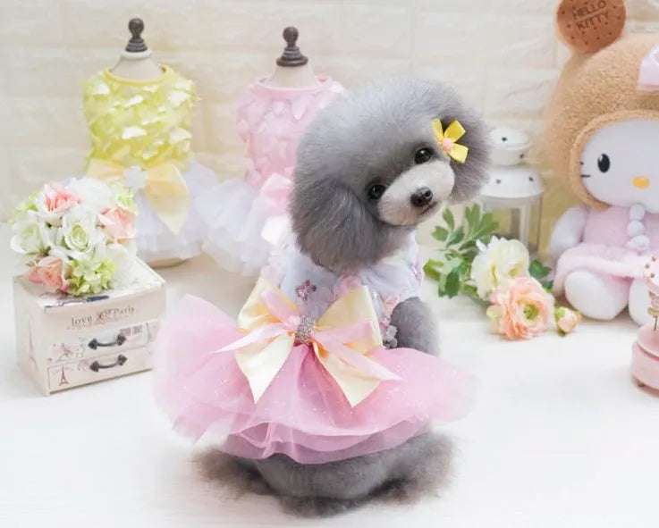 Dog skirt princess tutu teddy dress in cotton and lace with mesh detail, thin summer dog clothes, light green pink sky blue, XS to XL