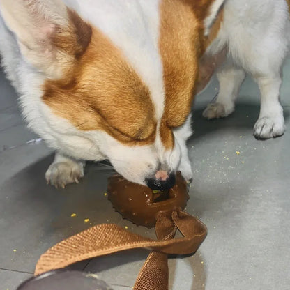 Coffee bean shaped brown TPR rubber dog chew toy with a white knotted rope attached.