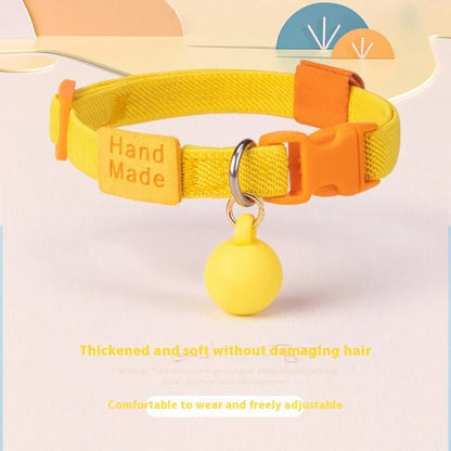 Small dog wearing elastic polyester collar in sky blue colour, showing stretch fit around neck