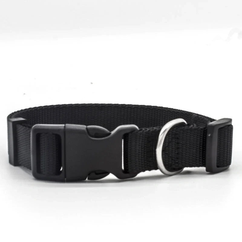 Adjustable nylon pet collar for cats and dogs with neoprene lining, available in multiple colors and sizes