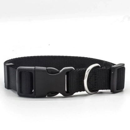 Adjustable nylon pet collar for cats and dogs with neoprene lining, available in multiple colors and sizes