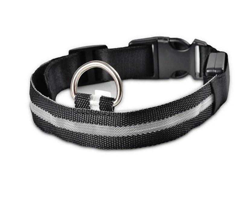 Nylon LED dog safety collar with illuminated fibre optic lights in blue colour, adjustable buckle, and waterproof construction