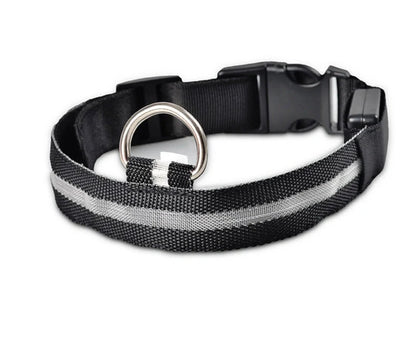 Nylon LED dog safety collar with illuminated fibre optic lights in blue colour, adjustable buckle, and waterproof construction