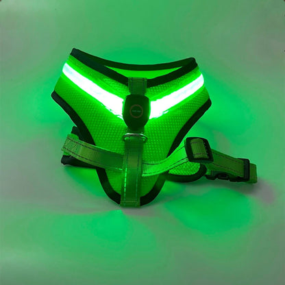 USB rechargeable LED dog harness in blue, red, or green with reflective safety features