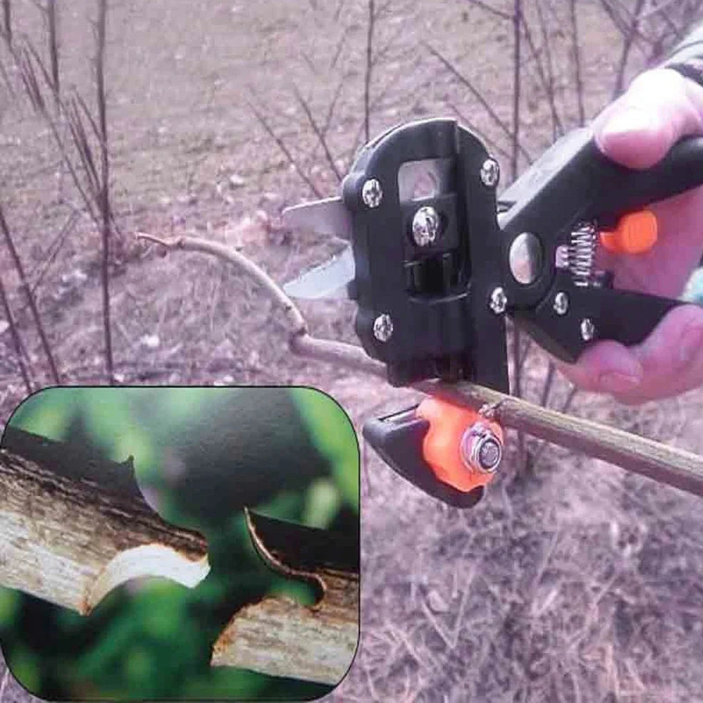 12-piece card and cloth bag collection with 2cm width, multiple styles, orange and red options