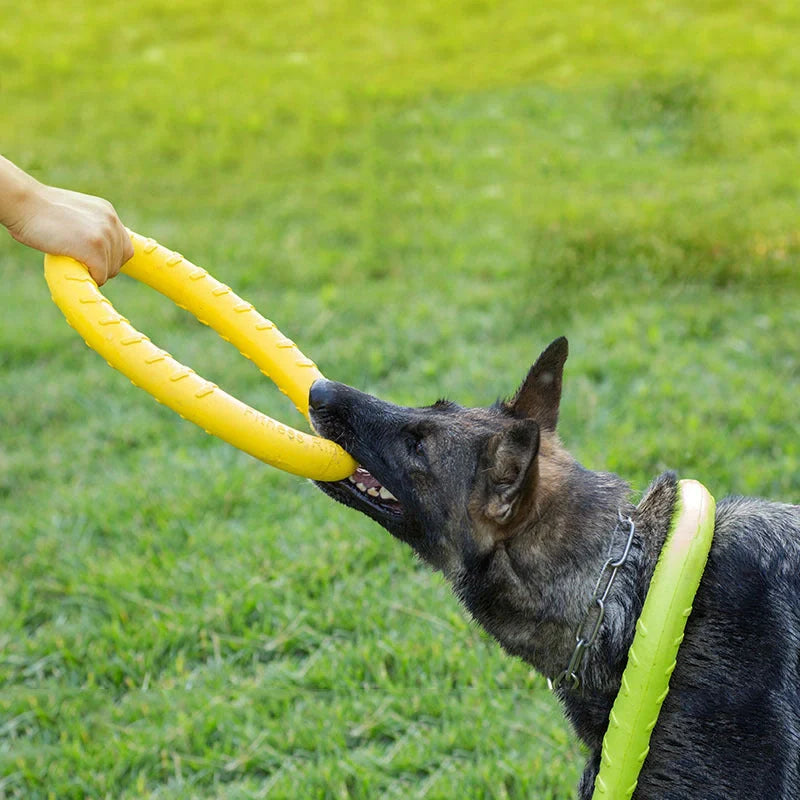 EVA Dog Training Toy Pull Ring in bright colors for interactive play and training