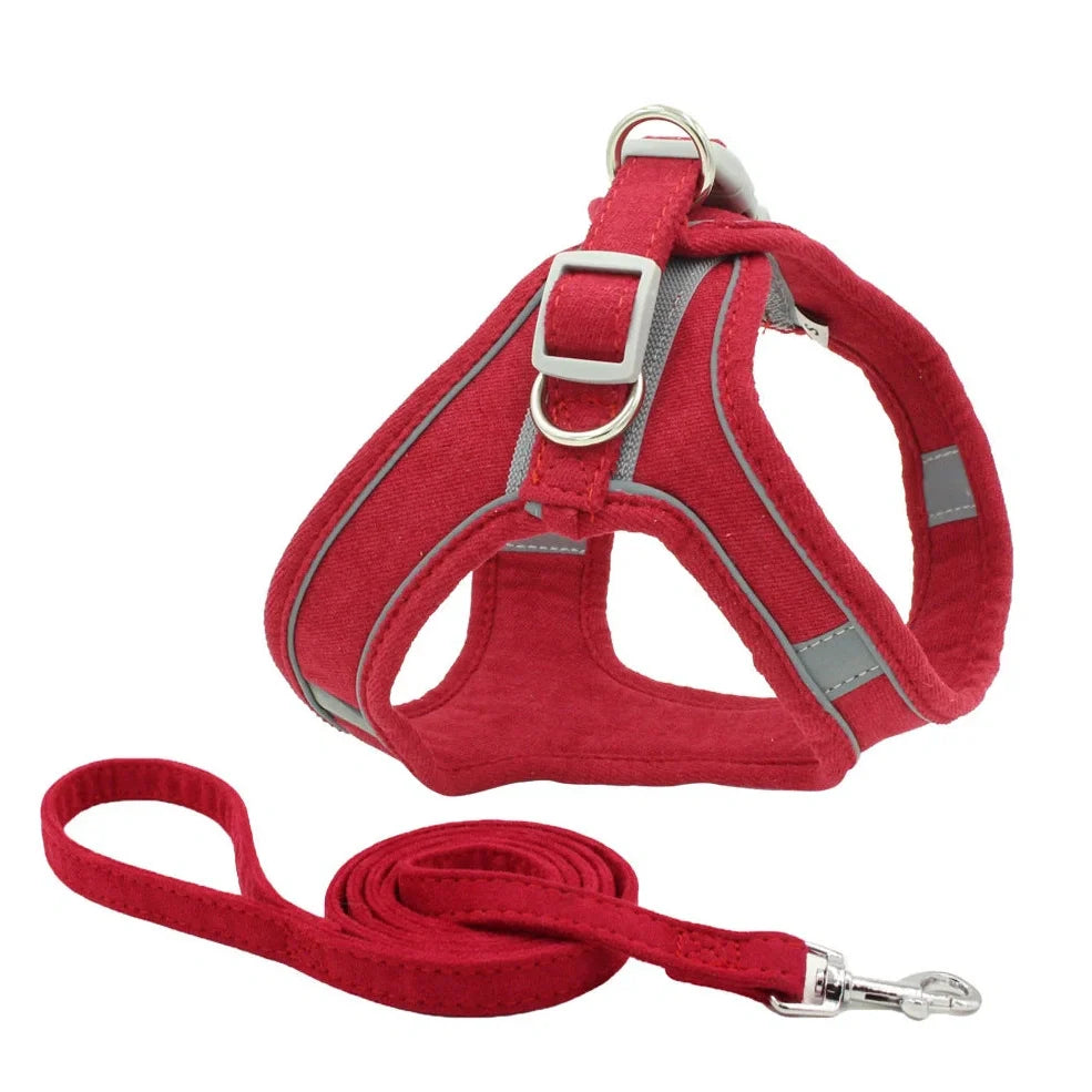 Fleece-lined dog harness with reflective strips and 150cm lead in navy blue colour