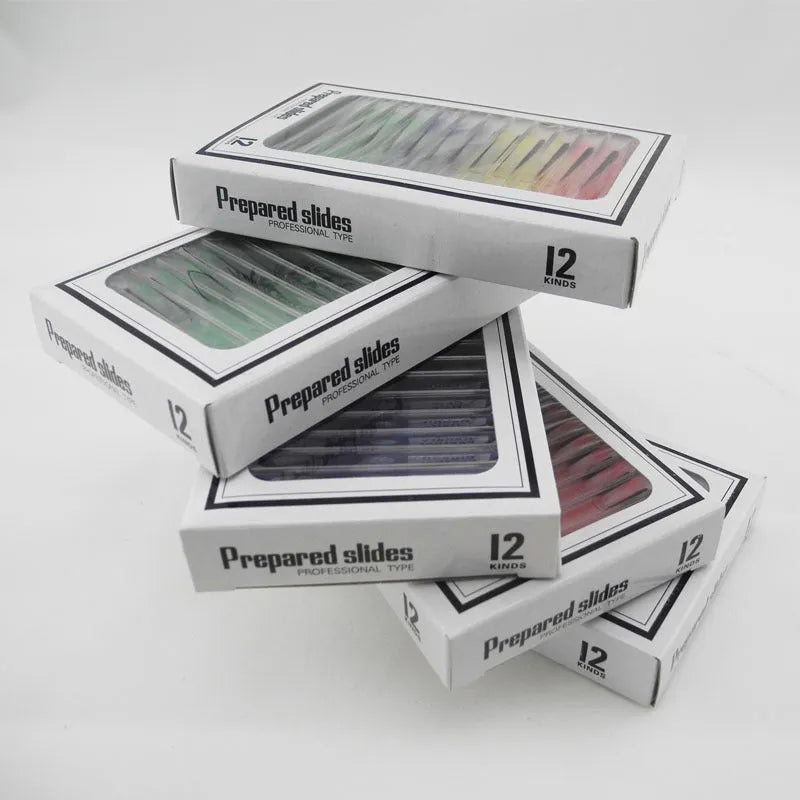 Set of coloured plastic microscope slides for children with prepared plant and animal specimens.
