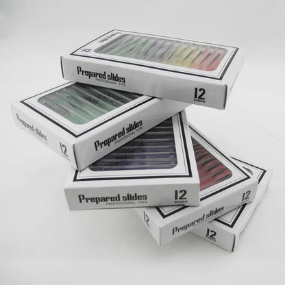 Set of coloured plastic microscope slides for children with prepared plant and animal specimens.
