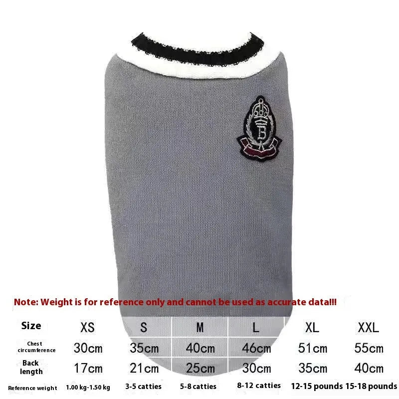 Cat wearing winter jumper with silver gradual collar in college style design