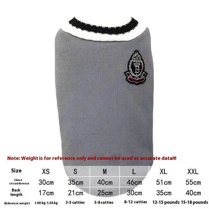 Cat wearing winter jumper with silver gradual collar in college style design