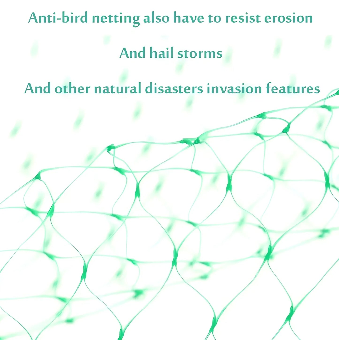 Green plastic garden bird net draped over plants showing mesh pattern and size options