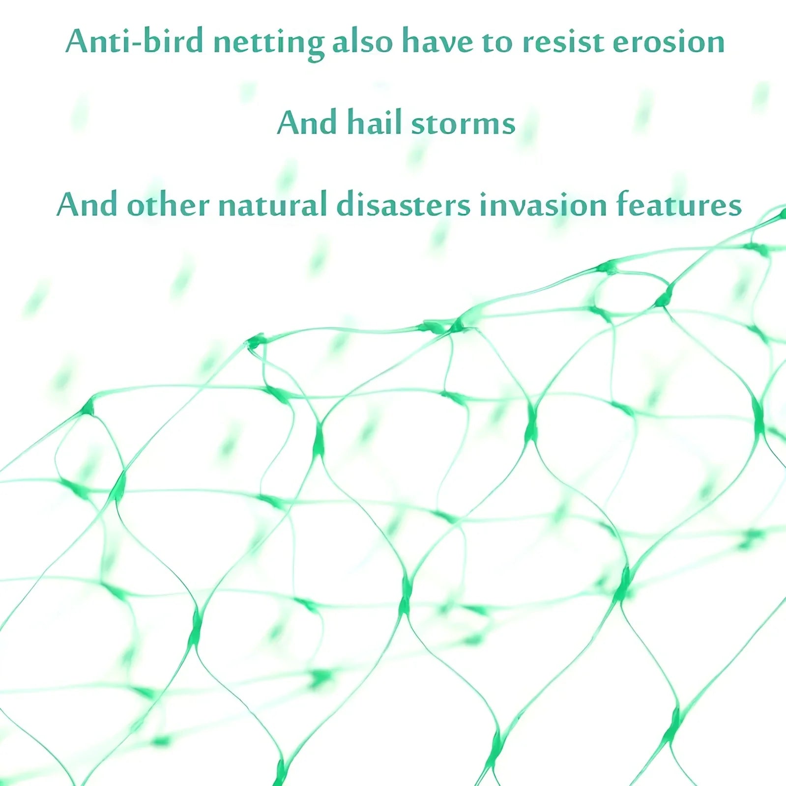 Green plastic garden bird net draped over plants showing mesh pattern and size options