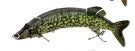 Versatile multistage bionic fishing lure with sleek hydrodynamic profile and mesmerizing flashing action for superior fish-attracting power