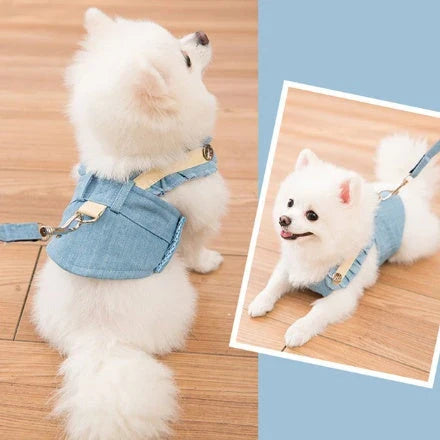 Durable and breathable small dog harness and leash set in various colors and sizes