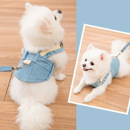 Durable and breathable small dog harness and leash set in various colors and sizes