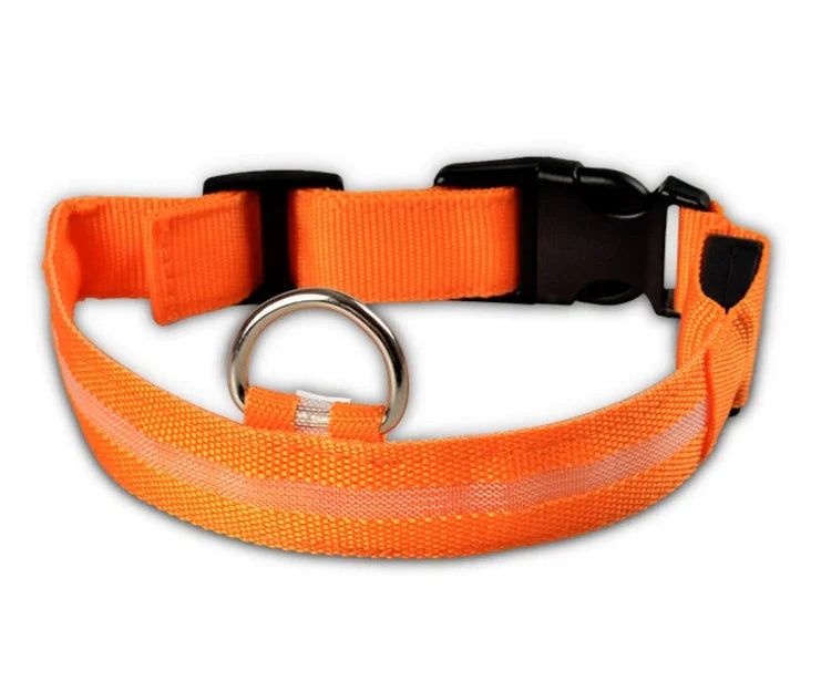 Nylon LED dog safety collar with illuminated fibre optic lights in blue colour, adjustable buckle, and waterproof construction