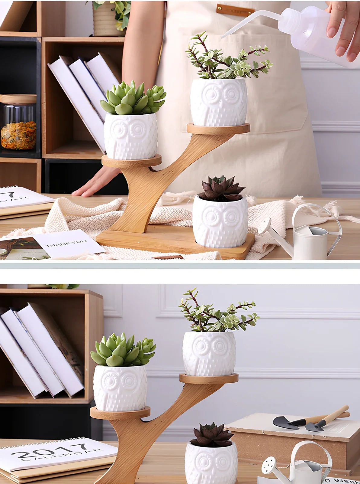 Three white ceramic owl planters on 45cm bamboo tree frame for succulents, corrosion-resistant modular display