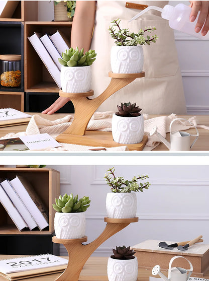 Three white ceramic owl planters on 45cm bamboo tree frame for succulents, corrosion-resistant modular display
