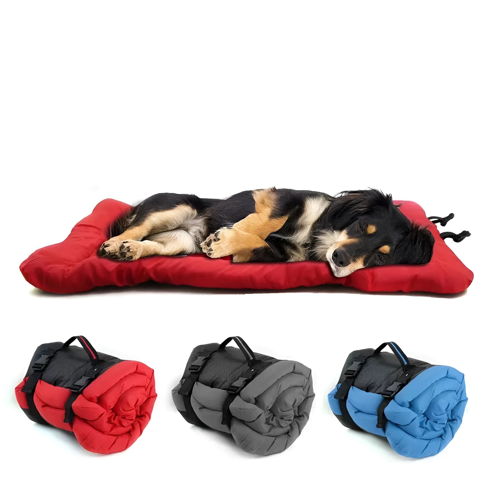 Blue foldable outdoor dog bed shown both open and folded with nylon buckles, on a grassy background.