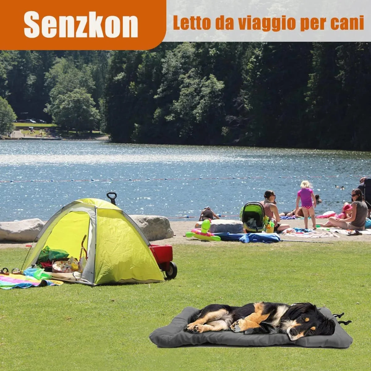 Blue foldable outdoor dog bed shown both open and folded with nylon buckles, on a grassy background.