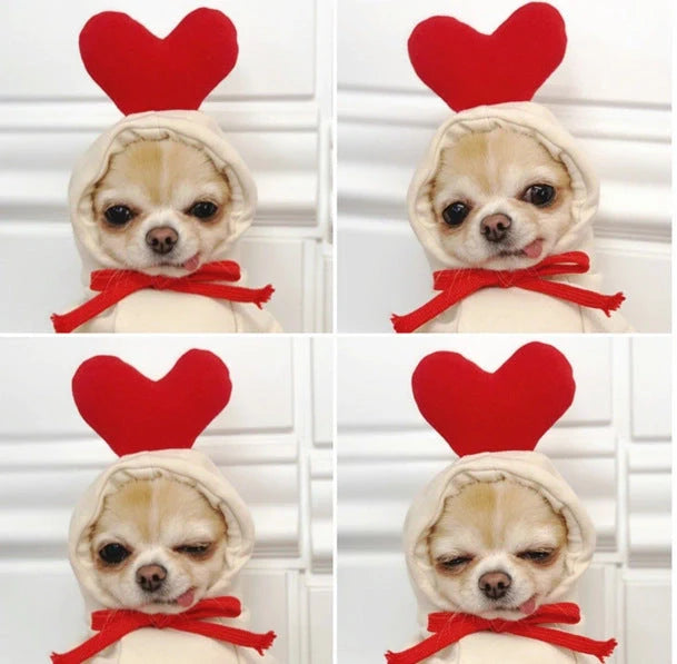 Two-legged hooded fleece dog outfits in various colors for autumn and winter wear