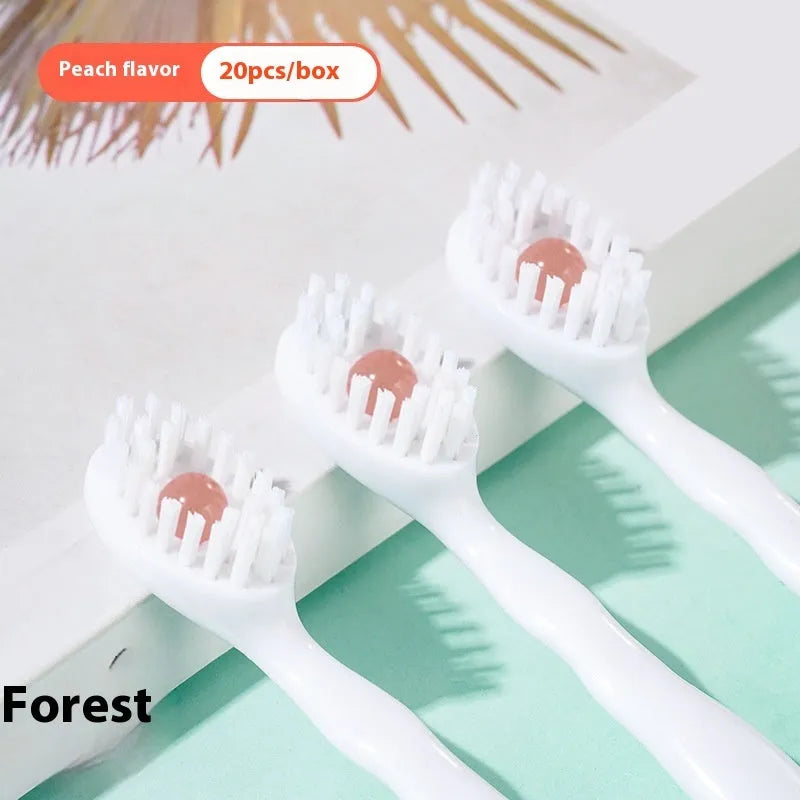 Box of disposable bead toothbrushes in mint, peach, plum green tea, and mixed flavours for travel.
