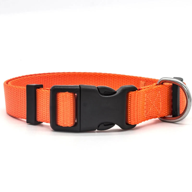 Adjustable nylon pet collar for cats and dogs with neoprene lining, available in multiple colors and sizes