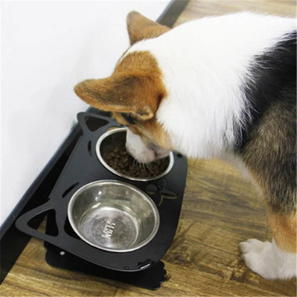 Elevated anti-spill pet food and water bowls in various color options, featuring a sleek and inclined design to prevent spills and keep meals fresh.