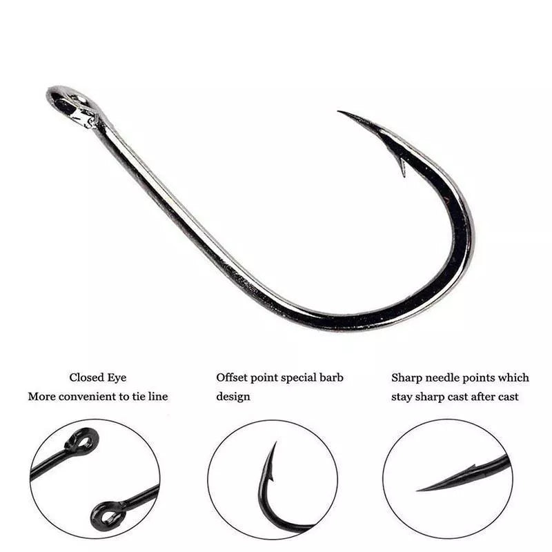 Fishhook Boxed Set with 500 pieces in sizes 3-12 for versatile fishing