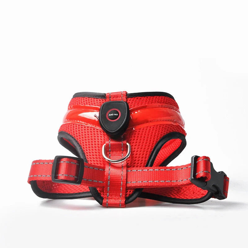 USB rechargeable LED dog harness in blue, red, or green with reflective safety features