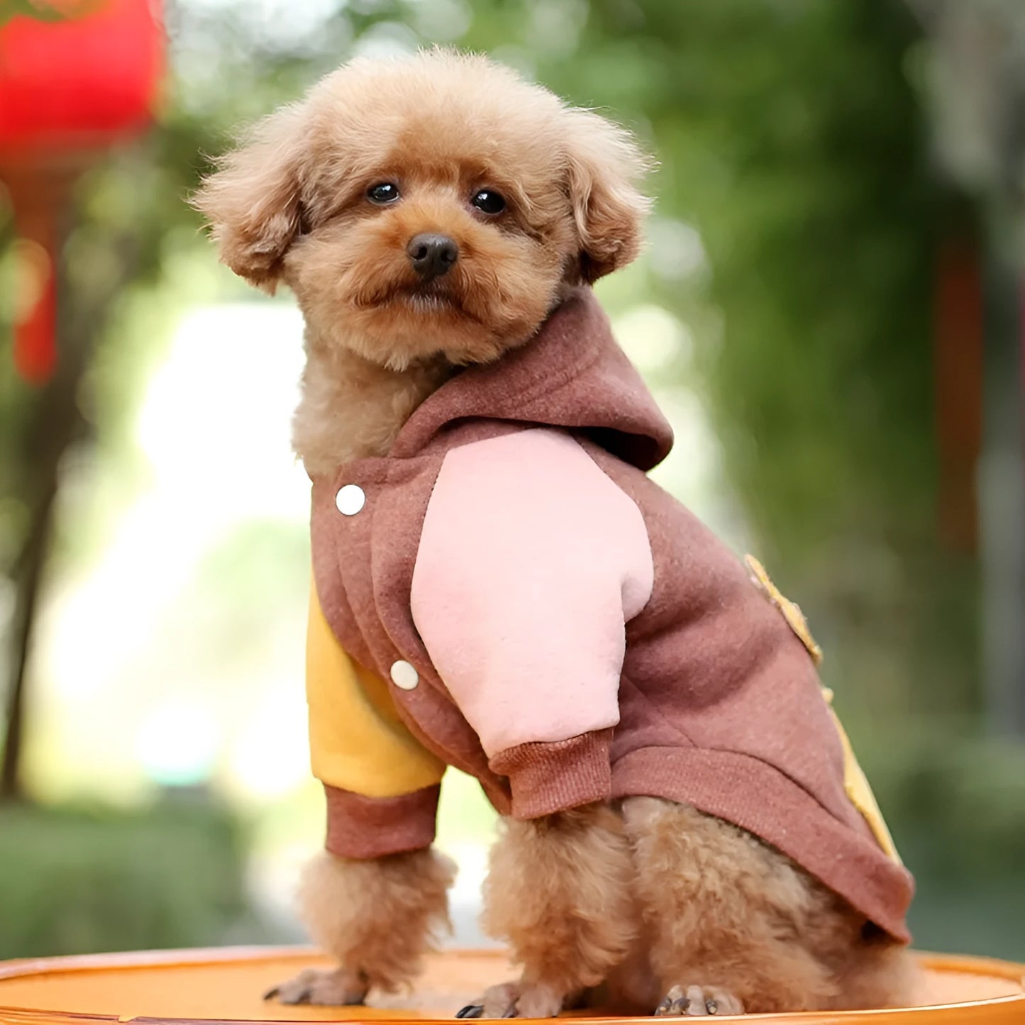Cotton pet sweatshirt clothing for dogs and cats in brown, green, or pink colours