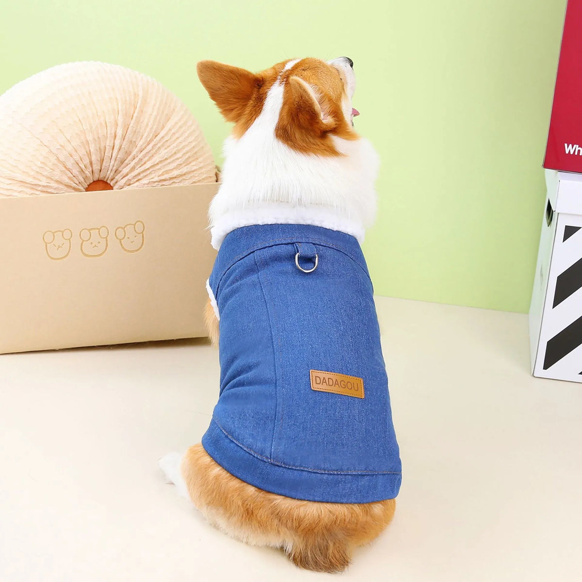 Dark blue denim cotton coat for corgi dog on mannequin, showing button front and full coverage design