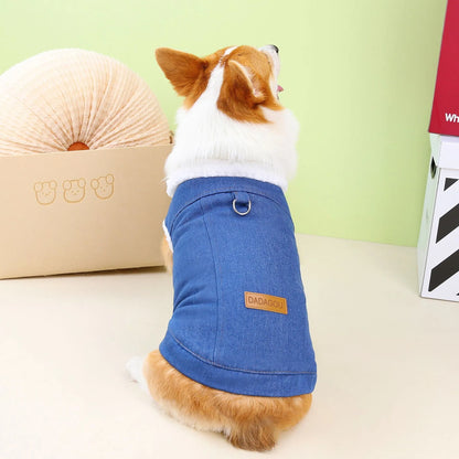 Dark blue denim cotton coat for corgi dog on mannequin, showing button front and full coverage design