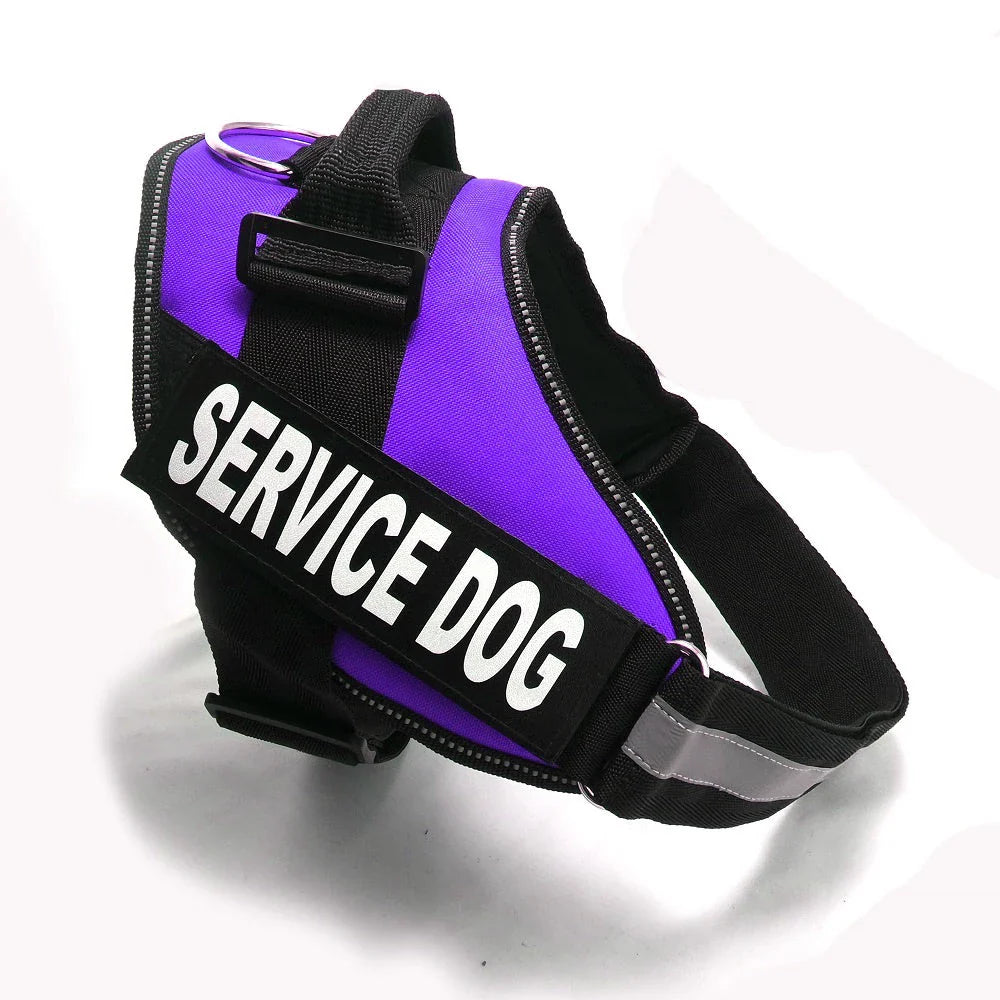 Durable nylon dog chest harness in a variety of sizes and colors for dogs of all shapes and sizes