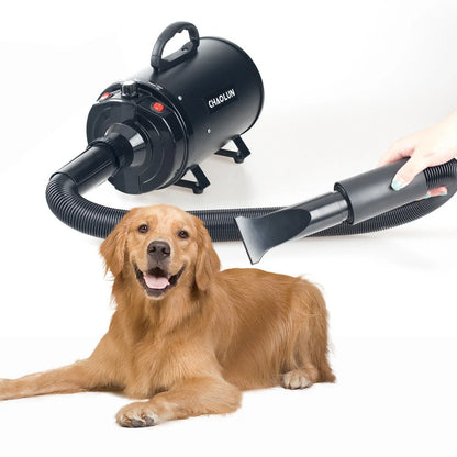 High-powered pet hair dryer with adjustable speed and temperature settings for quick and quiet drying of large dogs and cats